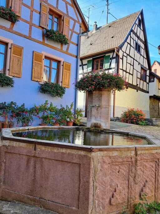 Entre Vignes Et Vergers Gite Parenthese Gueberschwihr Exterior foto