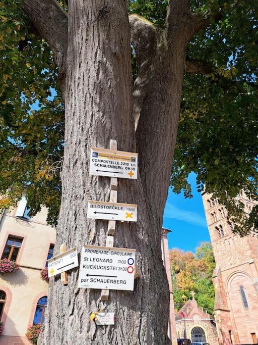 Entre Vignes Et Vergers Gite Parenthese Gueberschwihr Exterior foto