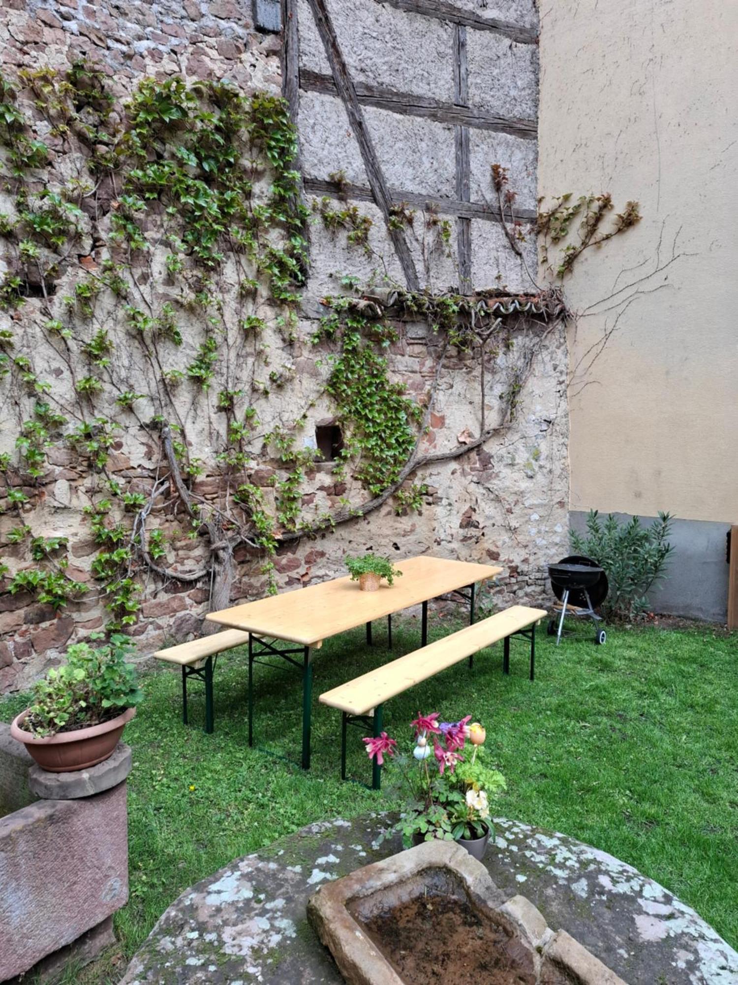 Entre Vignes Et Vergers Gite Parenthese Gueberschwihr Exterior foto